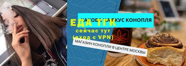 твердый Бердск