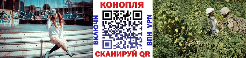 Конопля THC 21%  Талица 